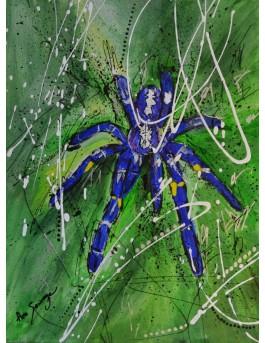 Poecilotheria Metallica -...