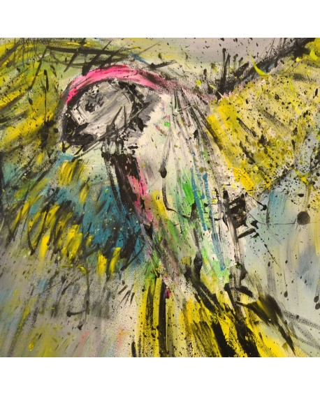 tableau abstrait multicolore perroquet