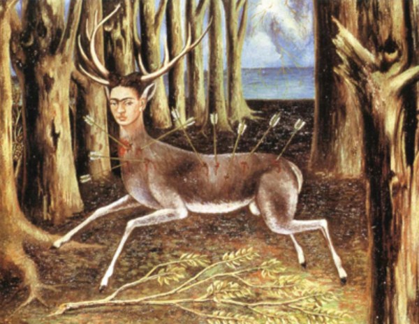 le-cerf-blesse
